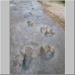 102_7500 (2013-08-19)m.JPG